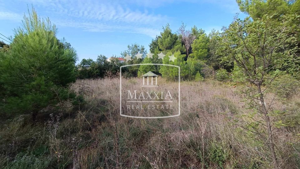 Seline - building land of 553 m2 200 m away from sea! 60000€