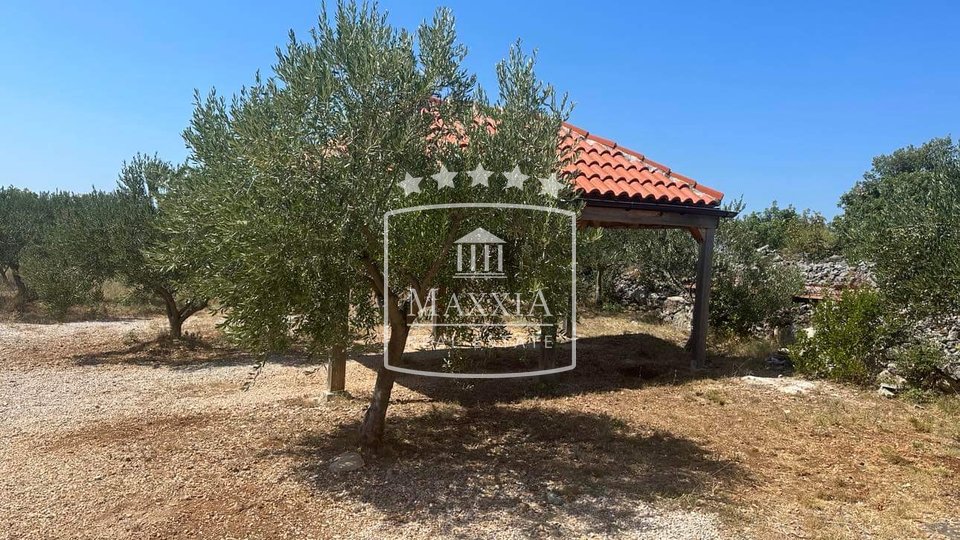 Zaton - house of 52m2 with a swimming pool in an olive grove of 4516m2! 315000€