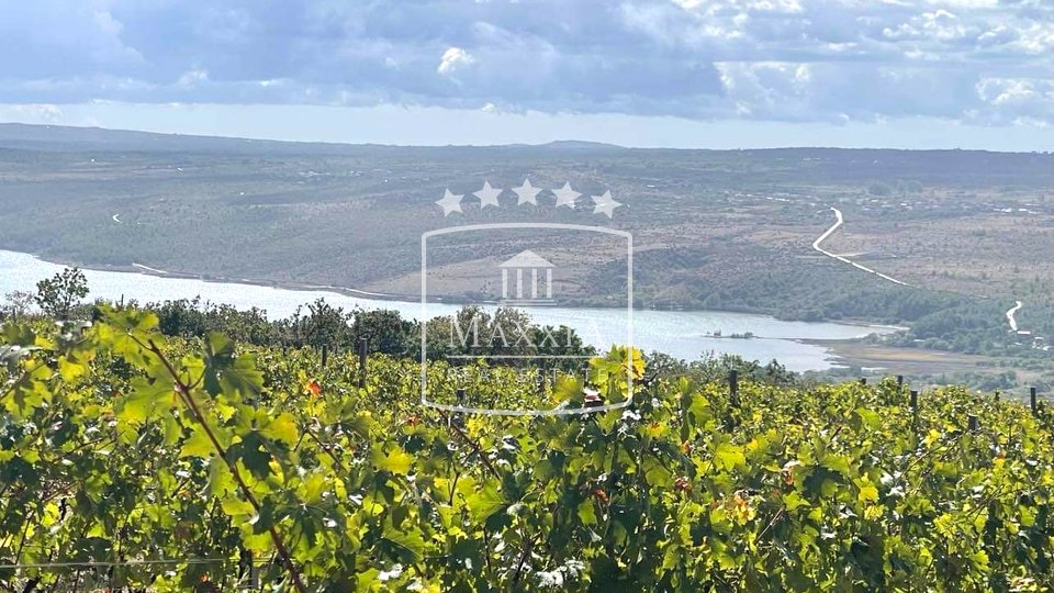 Posedarje - 26.125 m2 Weinberg mit hochwertigen französischen Weinsorten + Gelände! 390000€