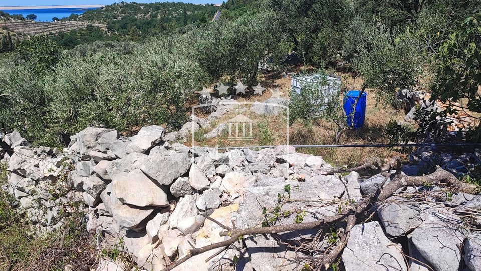 Starigrad, Paklenica - Ackerland 504m2, MEERBLICK!