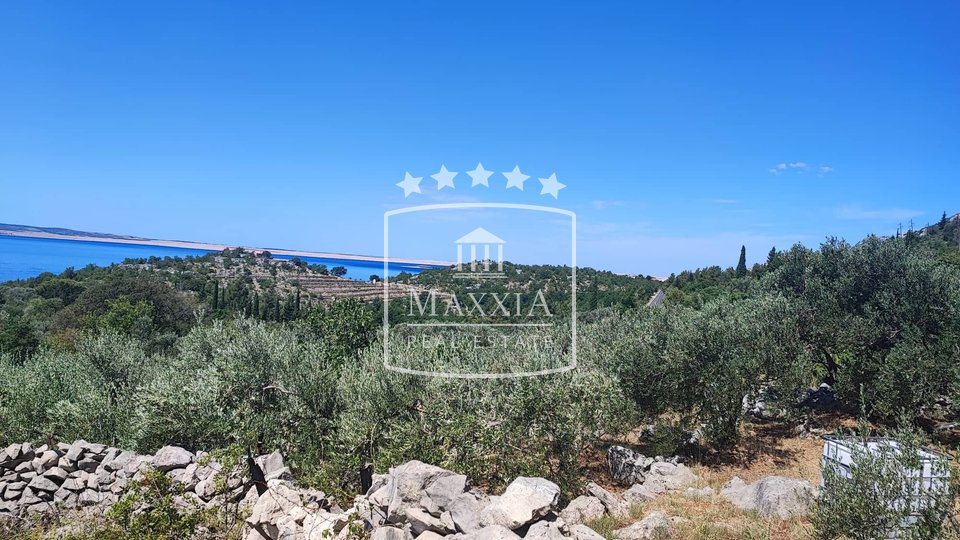 Starigrad, Paklenica - agricultural land 504m2, SEA VIEW!